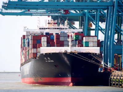 YM Uniform - IMO 9337482, Port of Antwerp, pic4