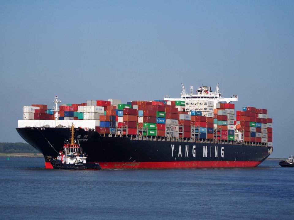 YM Uniform - IMO 9337482, Port of Antwerp, pic2