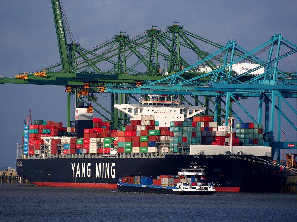 YM Wholesome (ship, 2015) IMO 9704611 & Belicha (ship, 2003) IMO 9287601 ENI 06003885 Port of Antwerp pic1