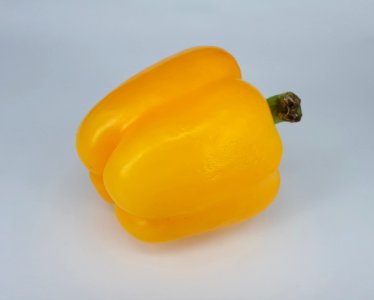 Yellow bell pepper 2017 A2