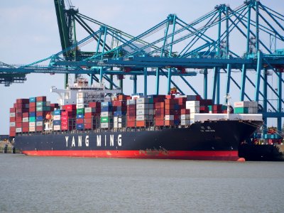 YM Uniform - IMO 9337482, Port of Antwerp, pic3