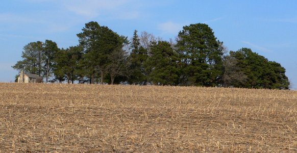 Young Cemetery from SW 2