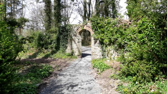 Ynysmaengwyn Park