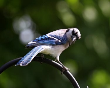 You Lookin At Me (264135805)