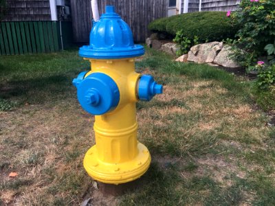 Yellow and Blue Fire Hydrant photo