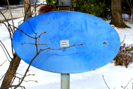 You are beautiful - Cambridge, MA - DSC02585