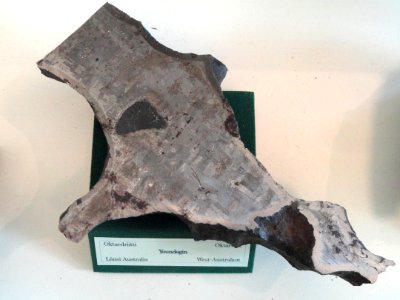 Youndegin meteorite - Meteorites in the Arppeanum - DSC05478