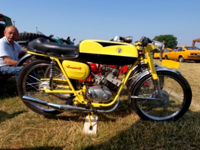 Yellow-black Giuseppe Bianchi Lamojcio 48 pic3