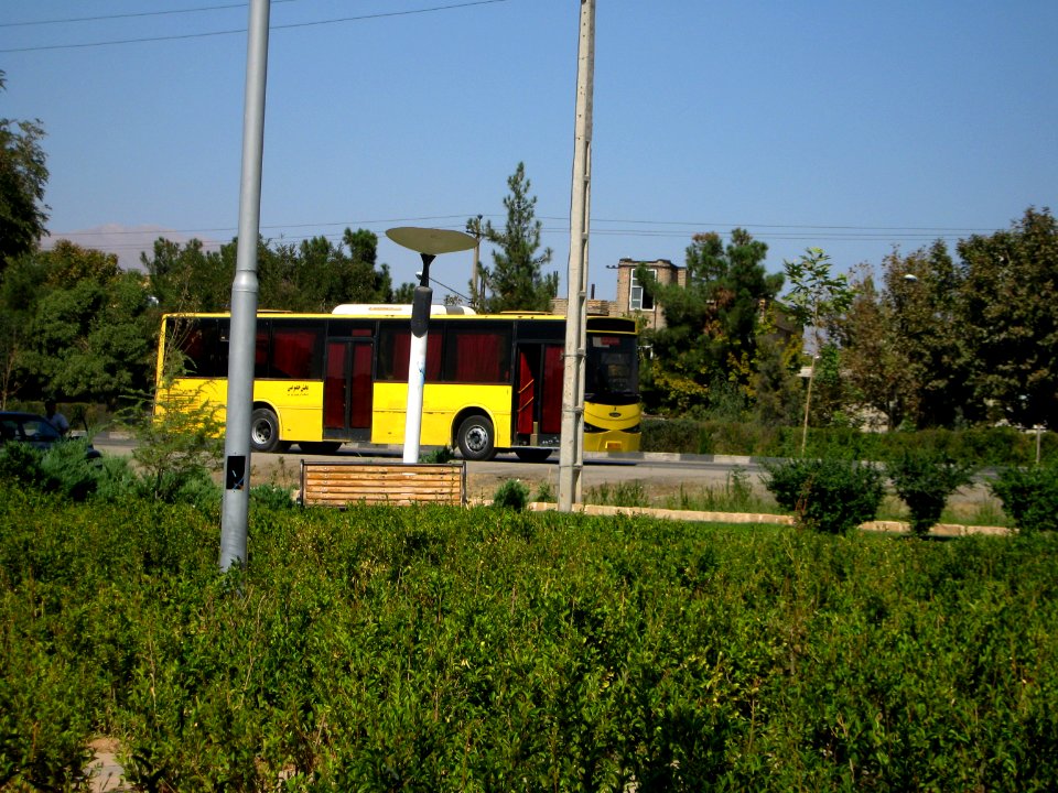 Yellow Bus for an Organization - Road 44 east of Iran - near Simorgh Culture house - Nishapur 5