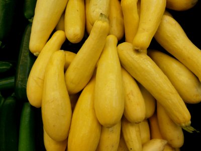 Yellow squash in a bin photo