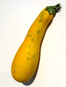 Yellow squash with green spots on the skin