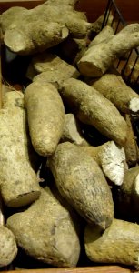 Yellow yam at Asian supermarket in New Jersey