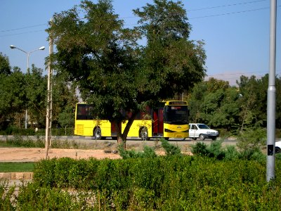 Yellow Bus for an Organization - Road 44 east of Iran - near Simorgh Culture house - Nishapur 8