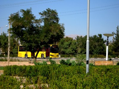 Yellow Bus for an Organization - Road 44 east of Iran - near Simorgh Culture house - Nishapur 4