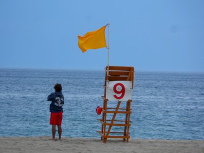 Yellow Warning Flag 