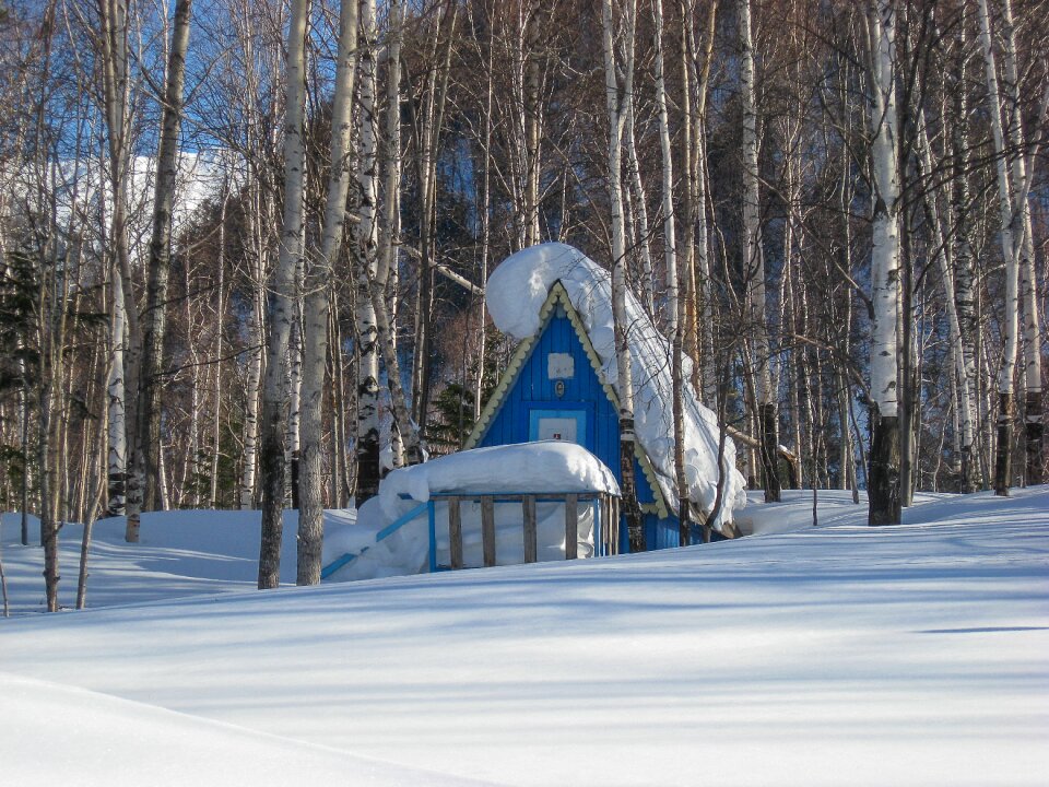 Lake baikal undergrowth snow