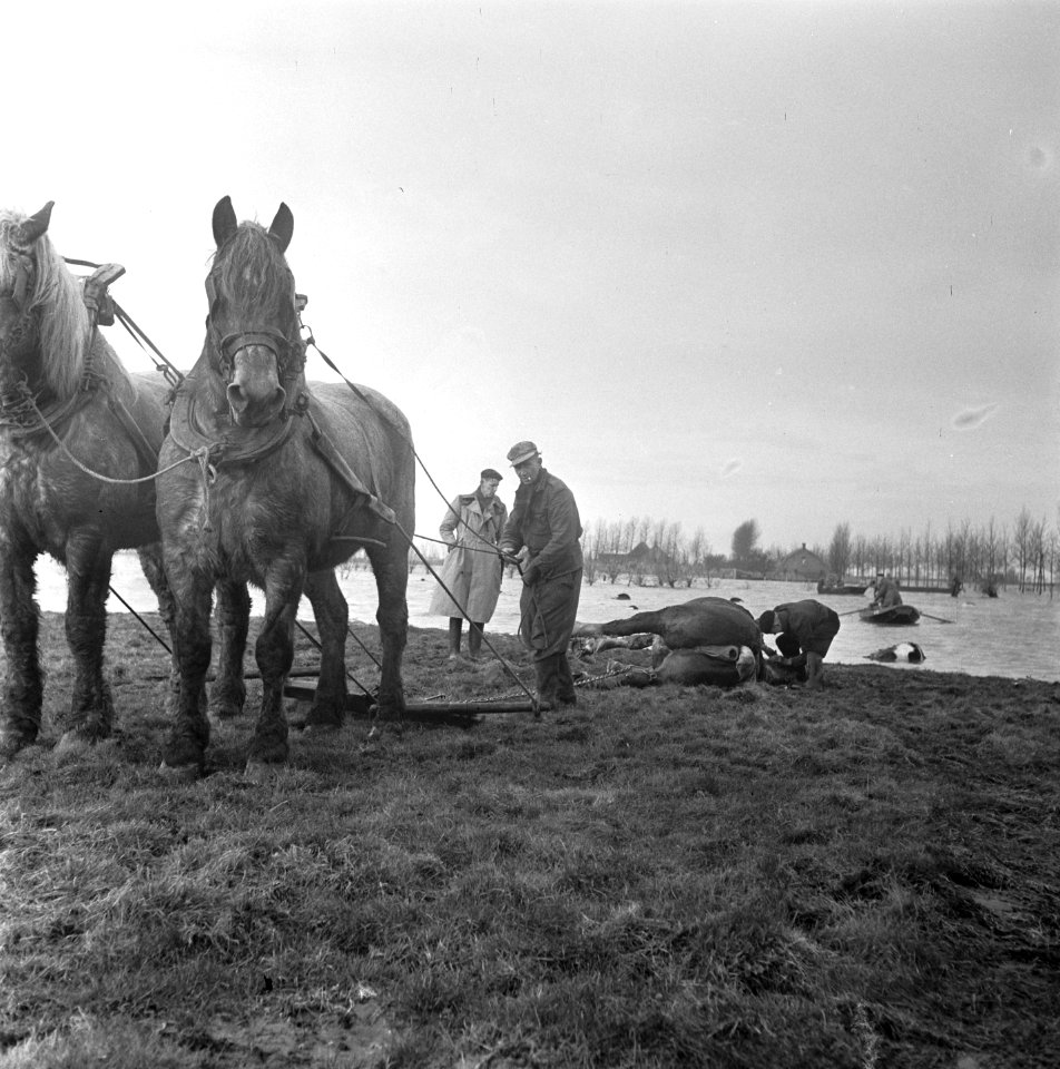 Zierikzee, Bestanddeelnr 905-5254