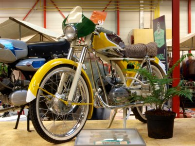 Yellow Flandria mopet