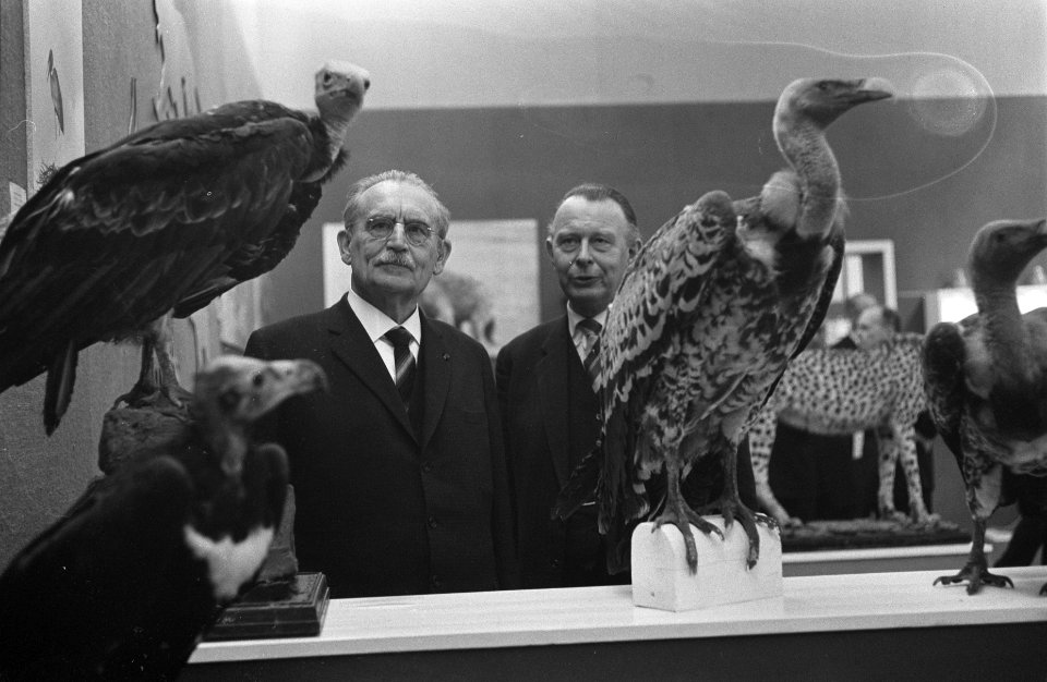 Zijne Excellentie dr. W. Drees het patronaat aanvaard van de tentoonstelling Af, Bestanddeelnr 914-9068