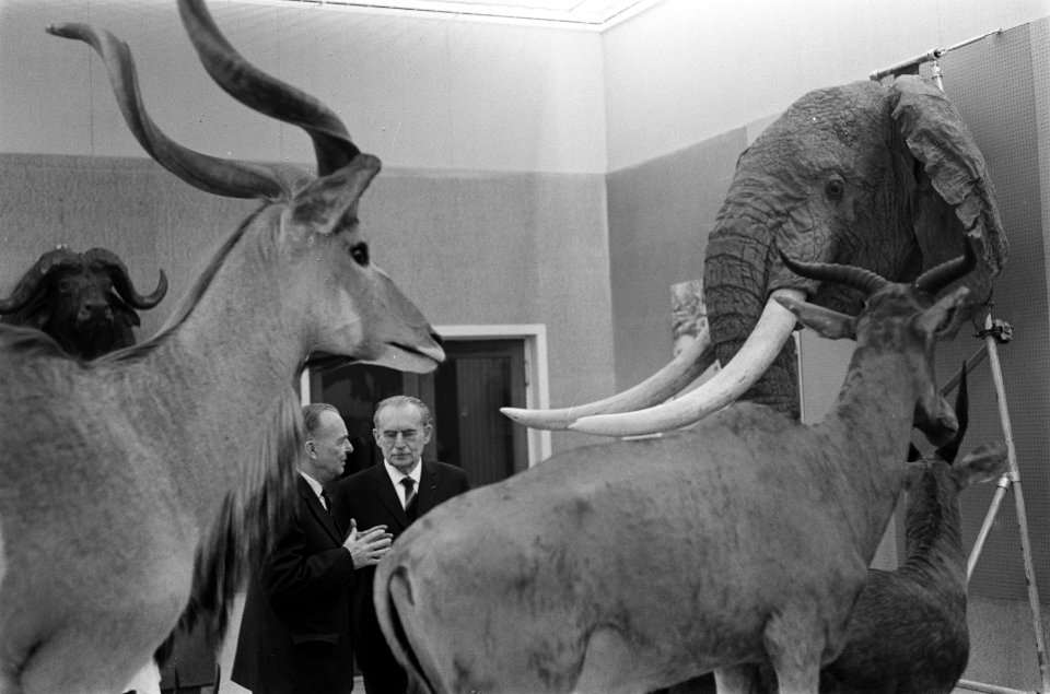 Zijne Excellentie dr. W. Drees het patronaat aanvaard van de tentoonstelling Af, Bestanddeelnr 914-9064