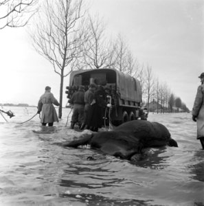 Zierikzee, Bestanddeelnr 905-5255