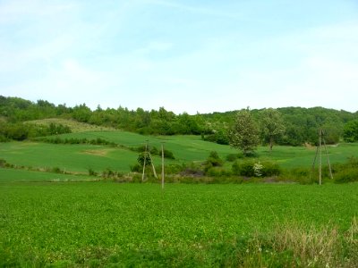 Zielona Góra rezerwat w Dolinie Noteci 2 photo