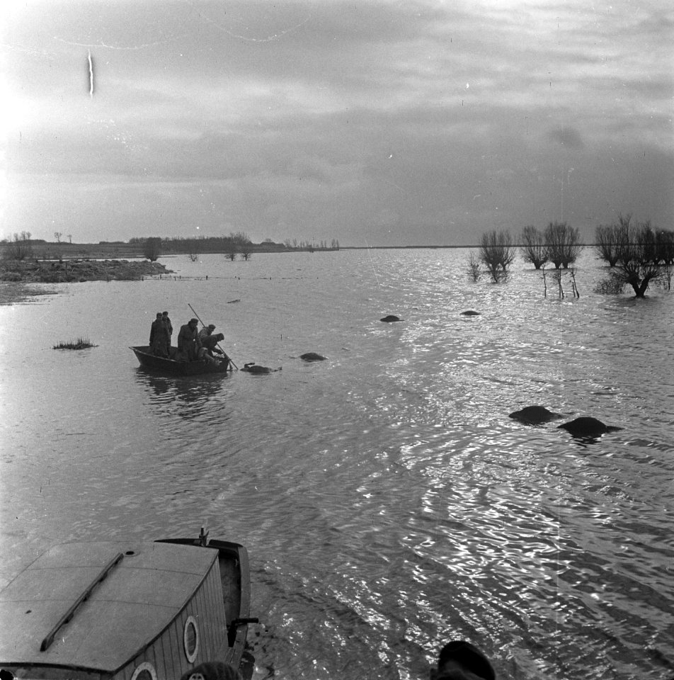Zierikzee, Bestanddeelnr 905-5257