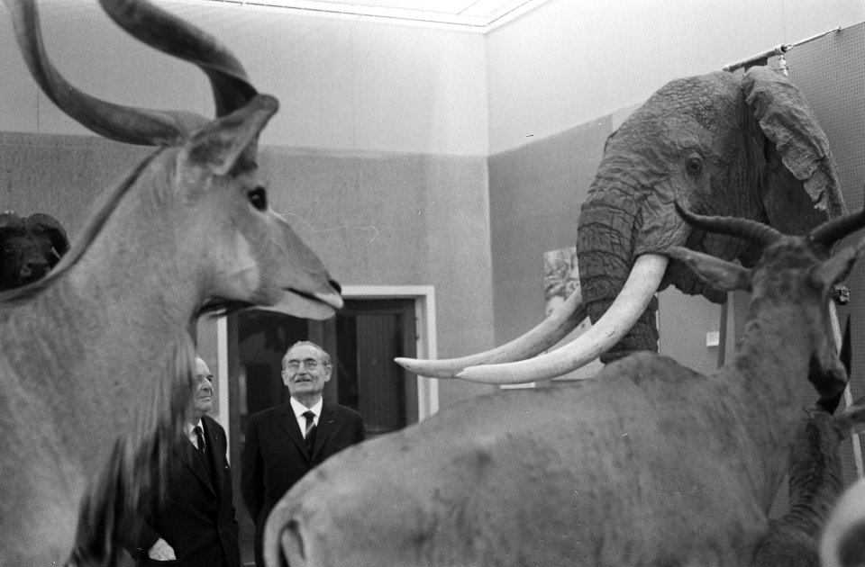 Zijne Excellentie dr. W. Drees het patronaat aanvaard van de tentoonstelling Af, Bestanddeelnr 914-9067