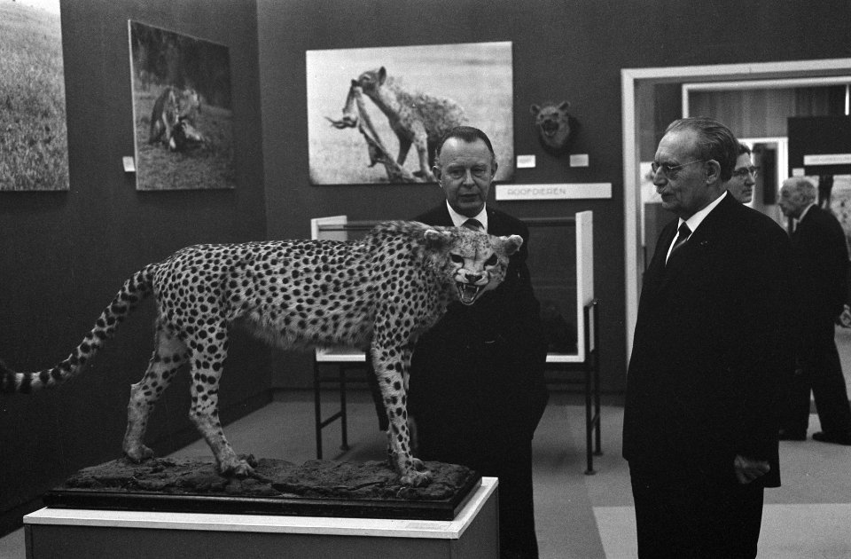 Zijne Excellentie dr. W. Drees het patronaat aanvaard van de tentoonstelling Af, Bestanddeelnr 914-9065
