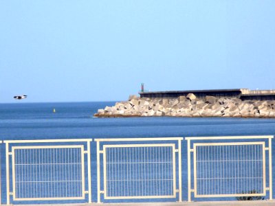 Zierbena - Muelles 2