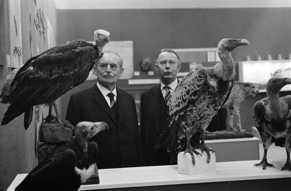 Zijne Excellentie dr. W. Drees het patronaat aanvaard van de tentoonstelling Af, Bestanddeelnr 914-9063