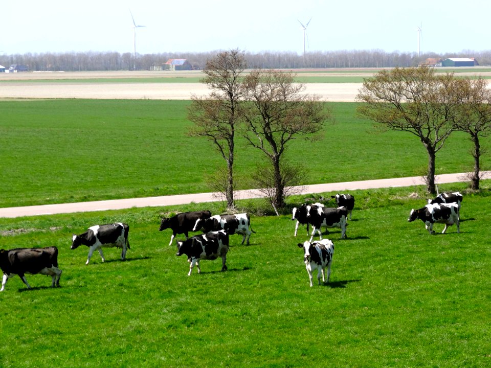 Zicht op de Wieringermeer vanaf de Wieringermeerdijk2