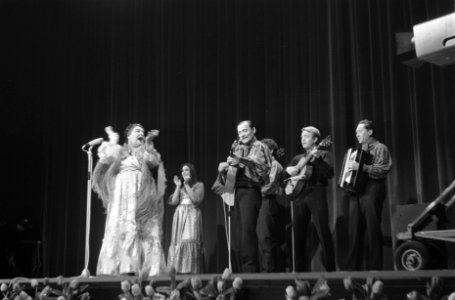 Zigeunerorkest Dimitrievitch, Bestanddeelnr 922-1832