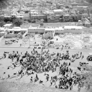 Zicht op de veemarkt van Hama vanaf de tell op de achtergrond de rivier Orontes, Bestanddeelnr 255-5996
