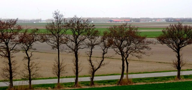 Zicht op de Wieringermeer vanaf de Wieringermeerdijk