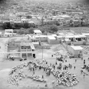 Zicht op de veemarkt van Hama vanaf de tell op de achtergrond de rivier Orontes, Bestanddeelnr 255-5995
