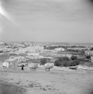 Zicht op Hama met de tell vanuit het zuid oosten, Bestanddeelnr 255-5989