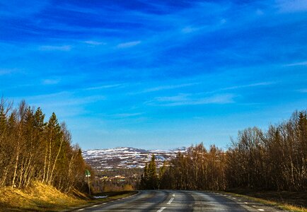 Tree sky landscape photo