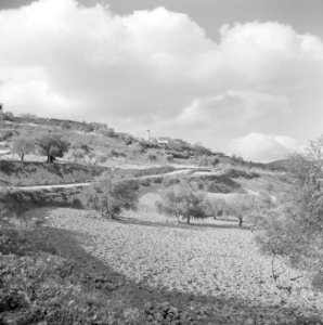 Zicht op het heuvellandschap van Samaria met het dorp Sebaste, Bestanddeelnr 255-5591