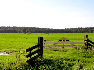 Zicht op de Bremer wildernis