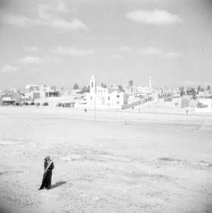 Zicht op het dorp Zarka in Jordanië, Bestanddeelnr 255-5772
