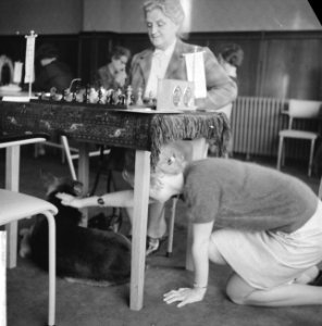 Zesde Danlon Dames Schaaktoernooi. Meisje aait hond tijdens schaakwedstrijd, Bestanddeelnr 913-0220