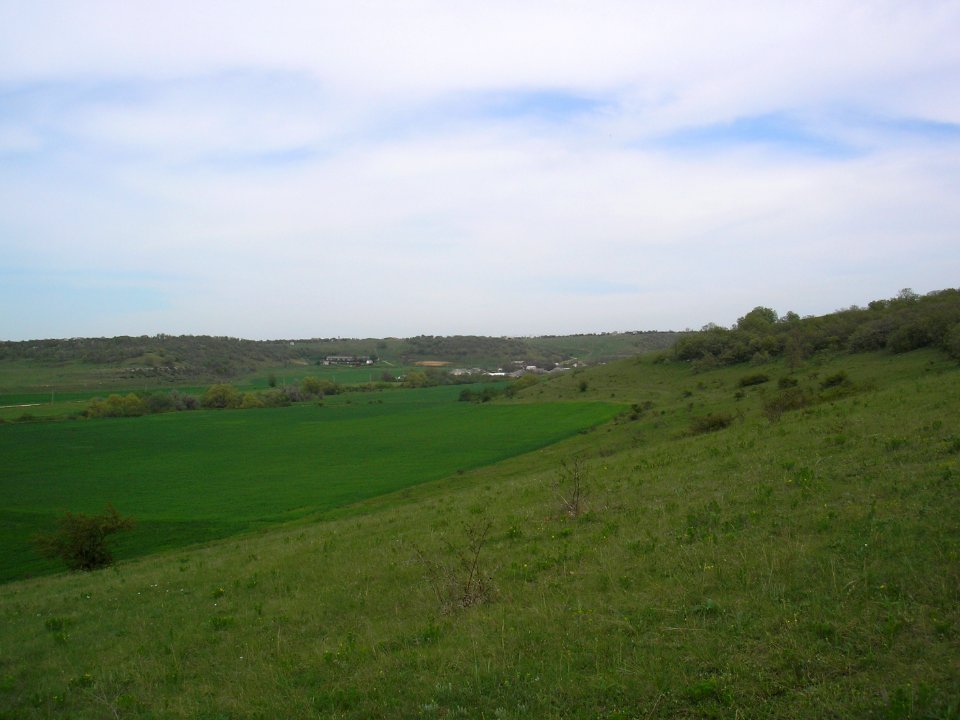 ZhivopisnoeCri