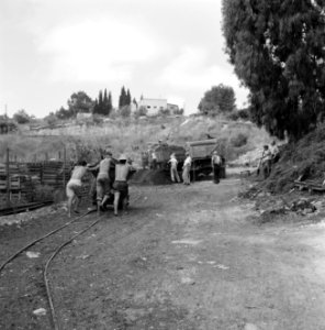 Zichron Jacob. Terrein van de Carmel Mizrachi Wineries. Met lorries over spoorra, Bestanddeelnr 255-4903