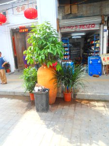 Zhongshan Road after restoration - 09