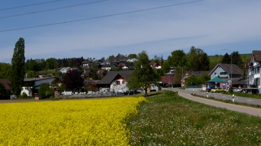 Zezikon TG
