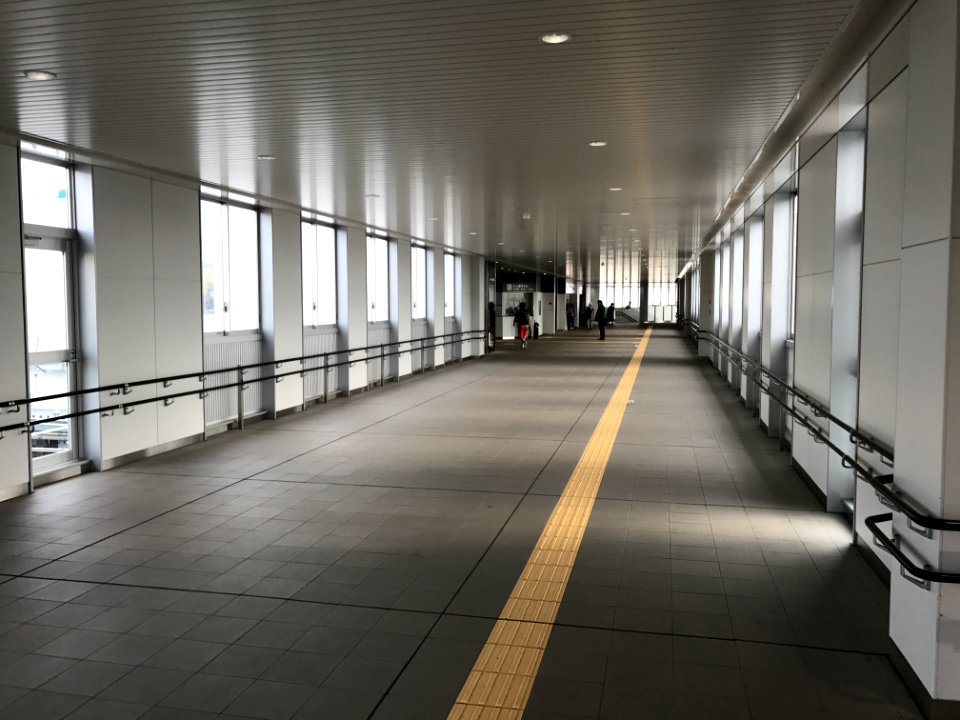 Zeze station flyover viewing north