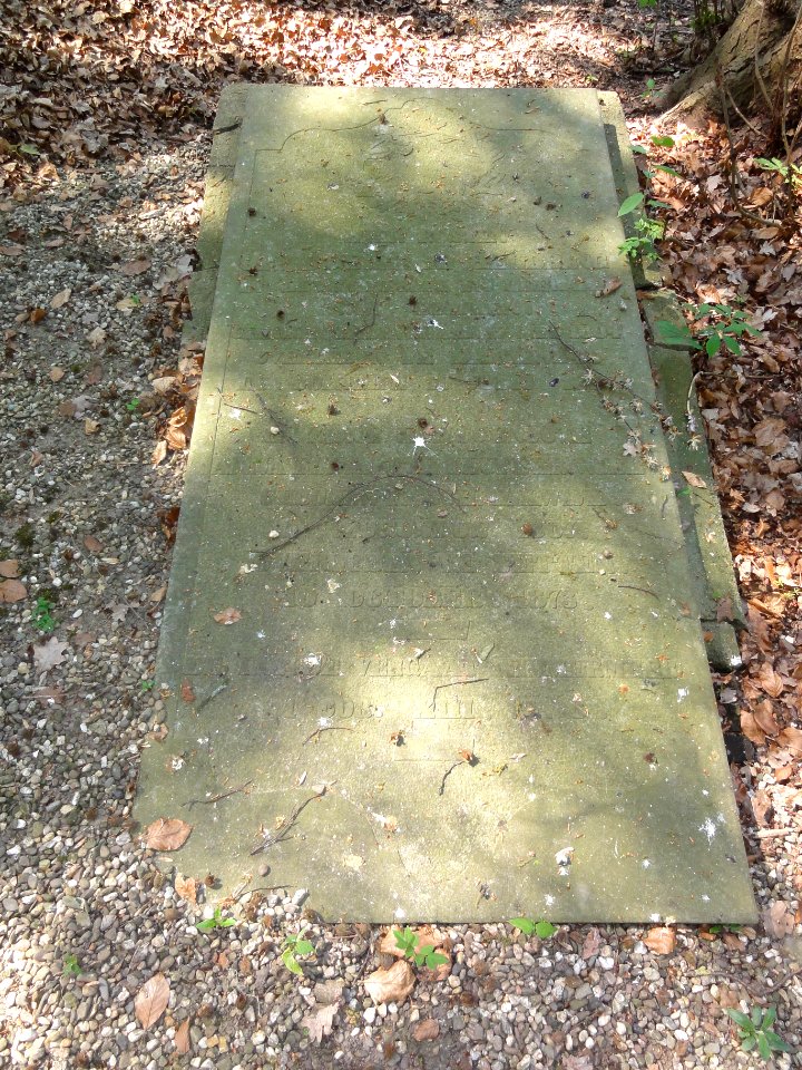 Zetten Rijksmonument 523911 graf Ottho Gerhard Heldring