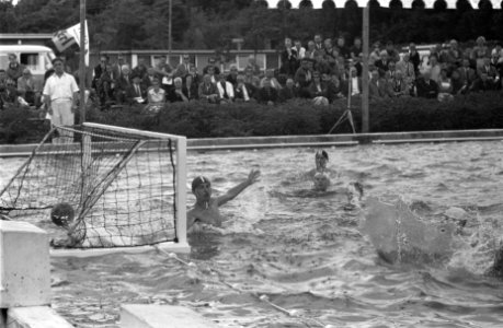 Zeslanden waterpolotoernooi, Bestanddeelnr 912-8317