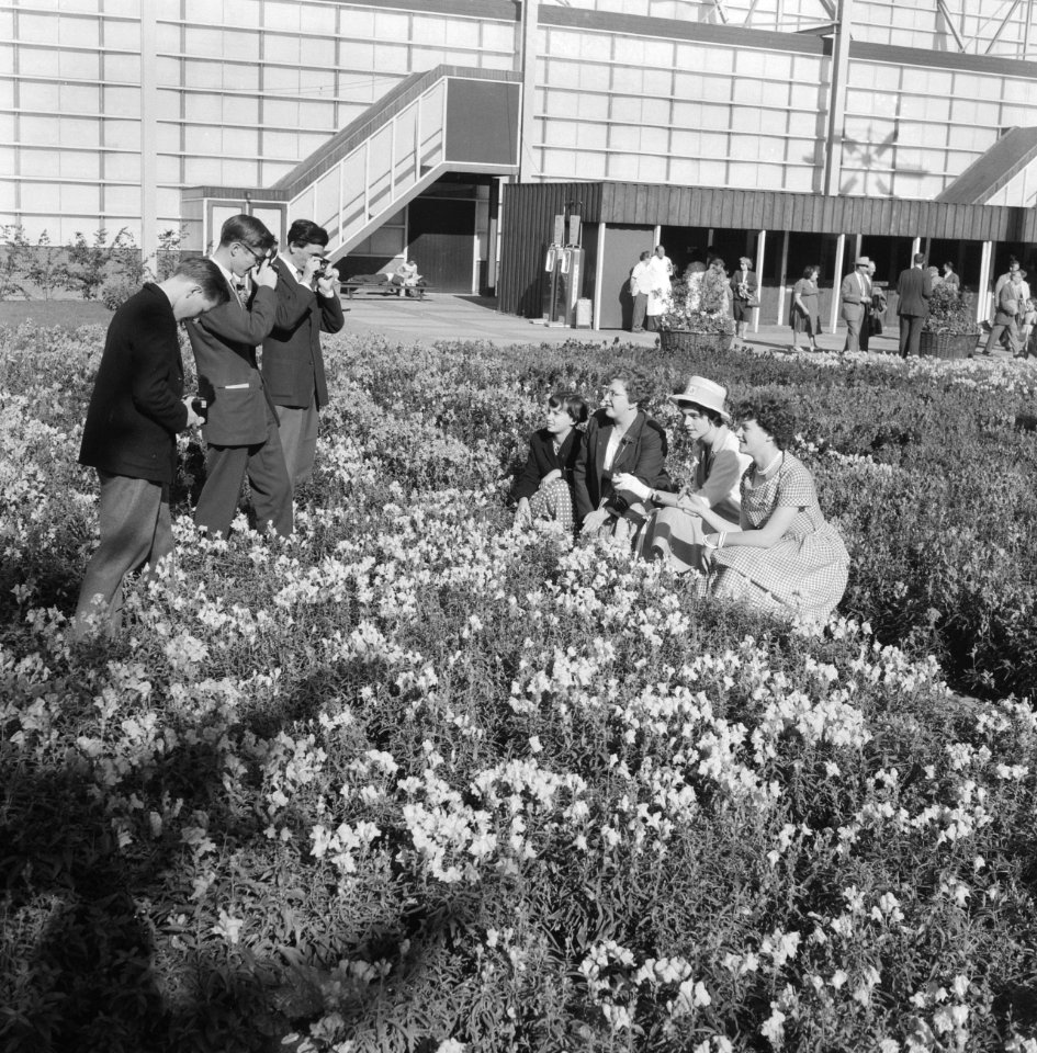 Zes Schotse jongens en meisjes bezoeken Floriade, de jong fotograferen de meisje, Bestanddeelnr 911-5064